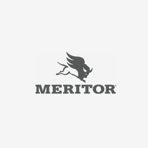 Meritor Meritor